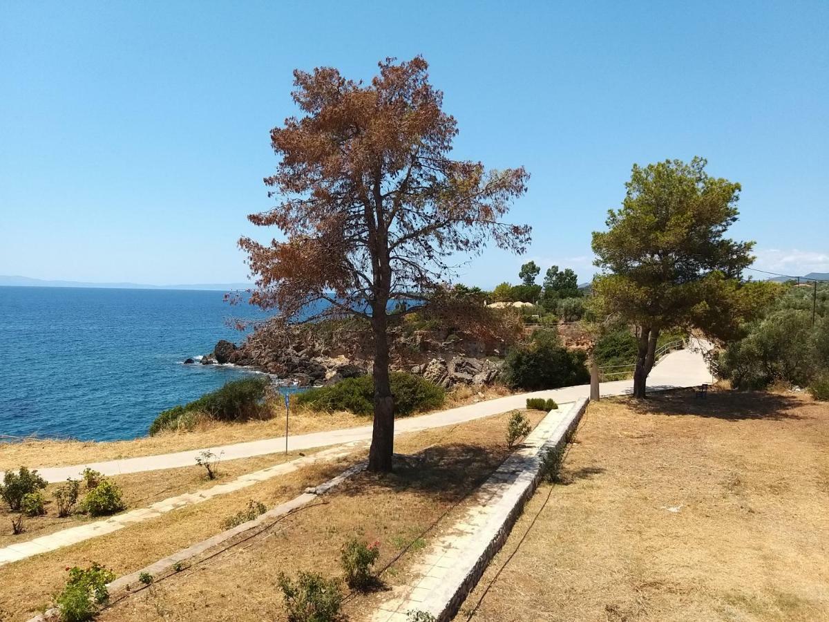 Stoupa Properties Rooms Holiday home *