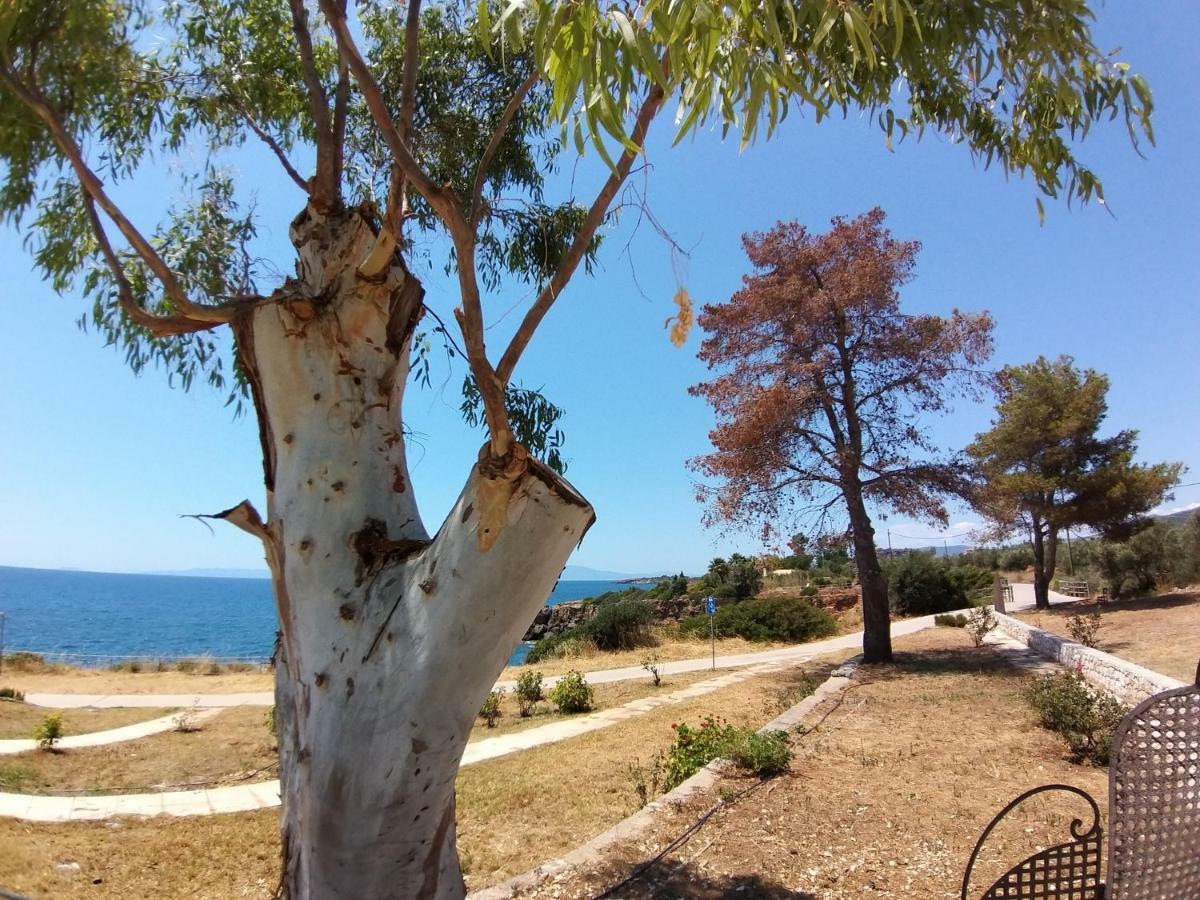 Stoupa Properties Rooms Holiday home *