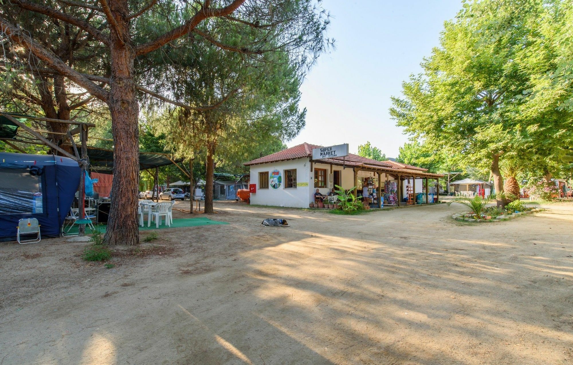 Campsite Pitsoni Sykia Chalkidikis