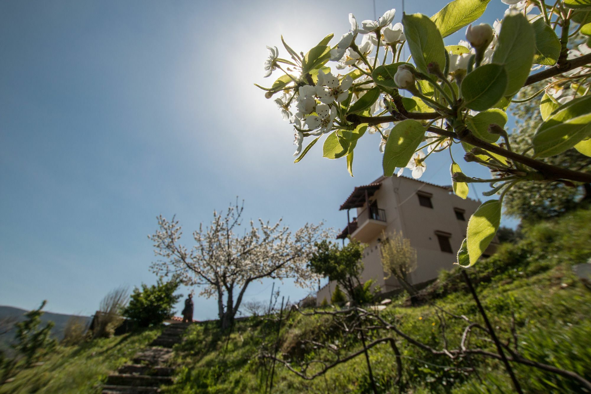 Aori Hillside Kopeti