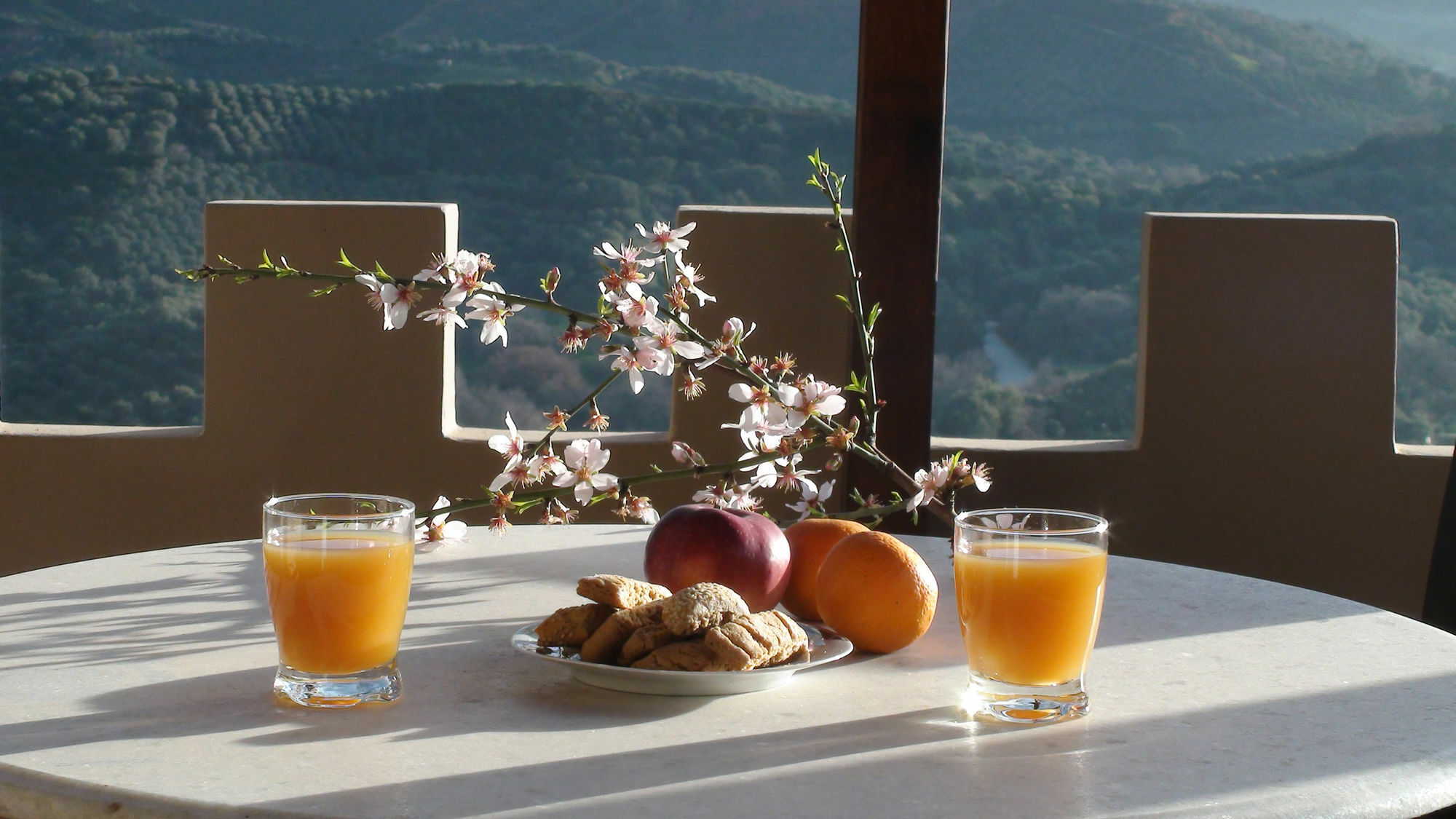 Aori Hillside *