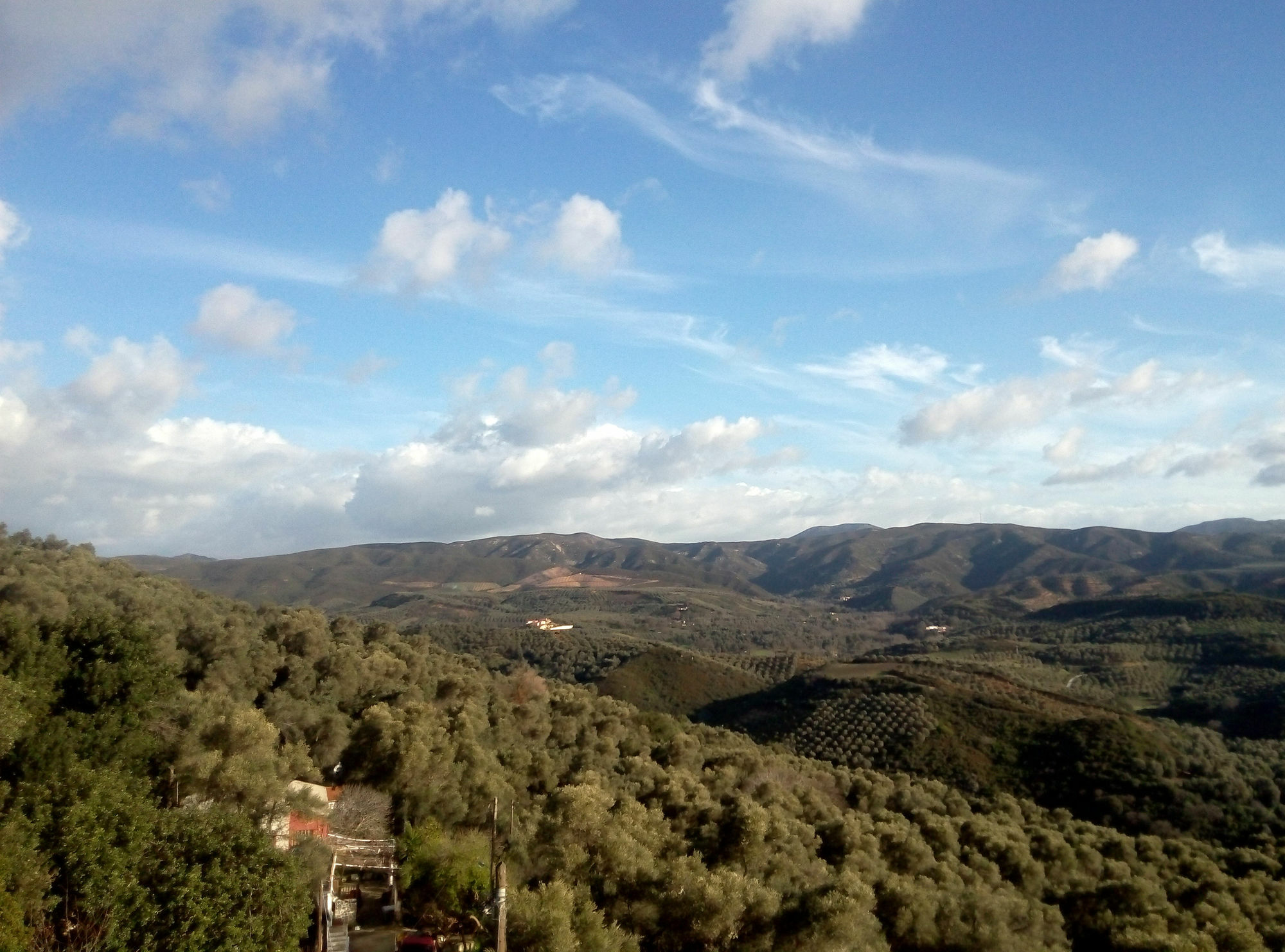 Aori Hillside Kopeti