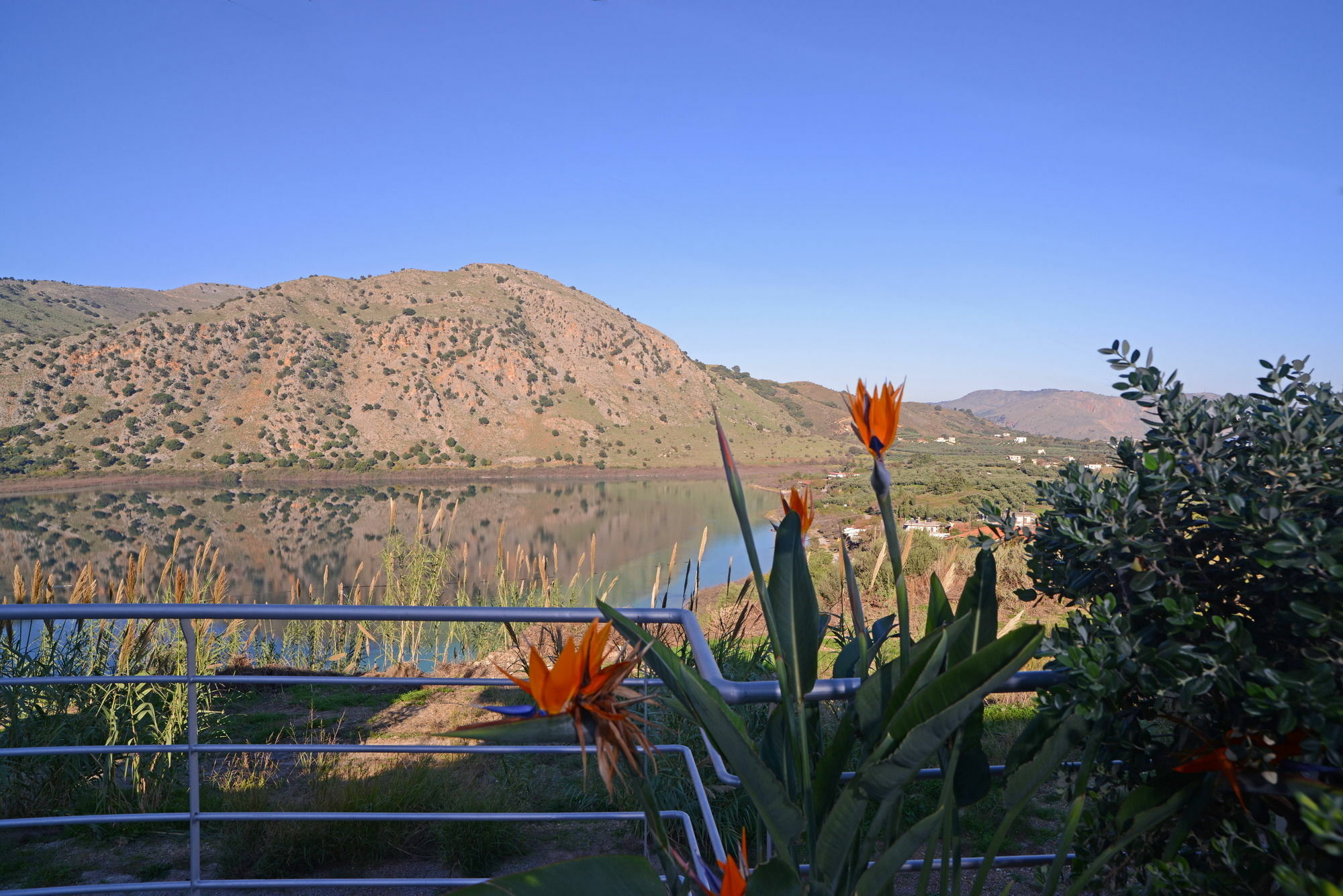 Family-friendly Bluefairy Dafni With Pool, Walk To Restaurants! * Georgioupoli