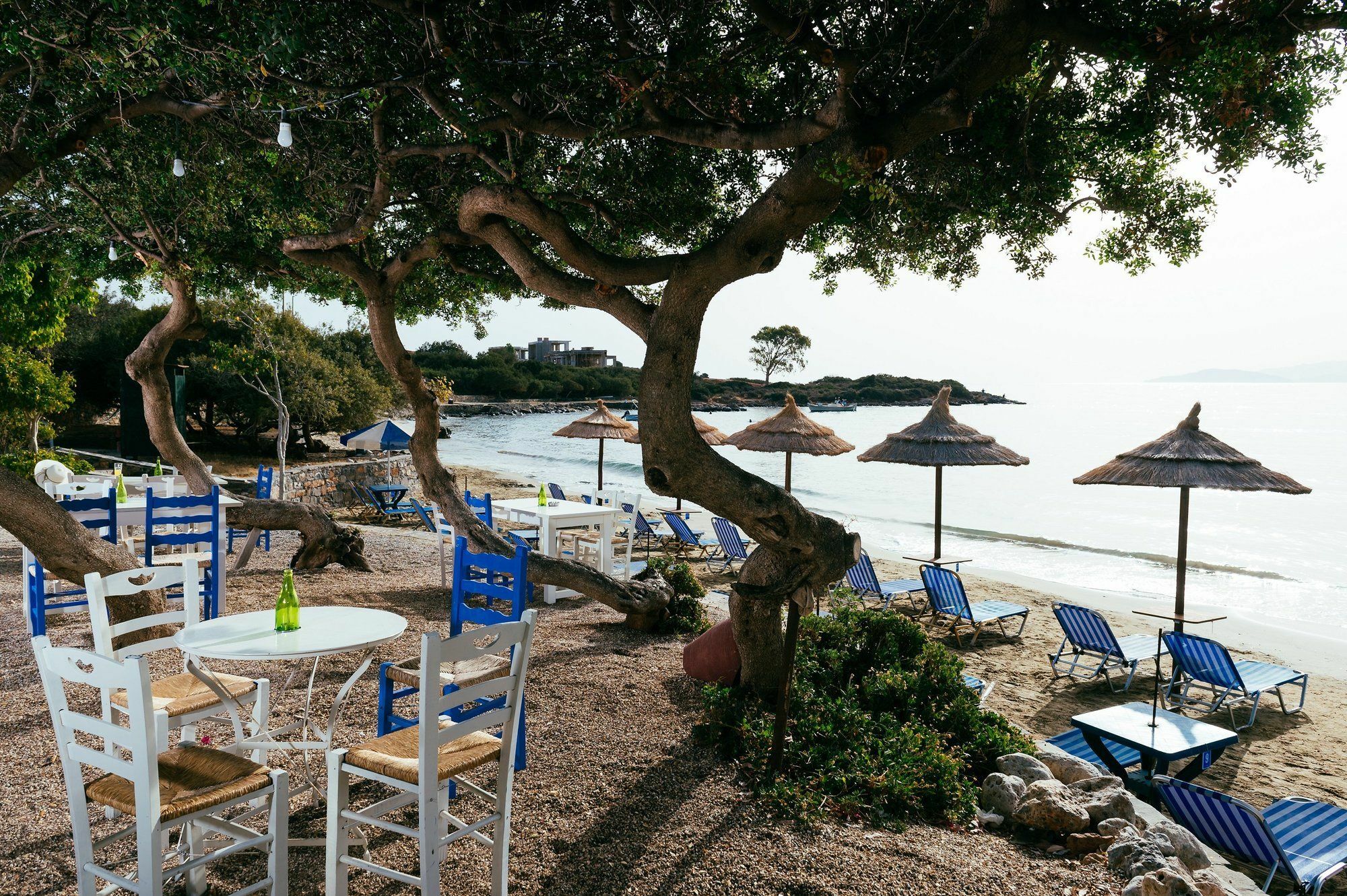 Aparthotel Ammoudara Amoudara (Lasithi)