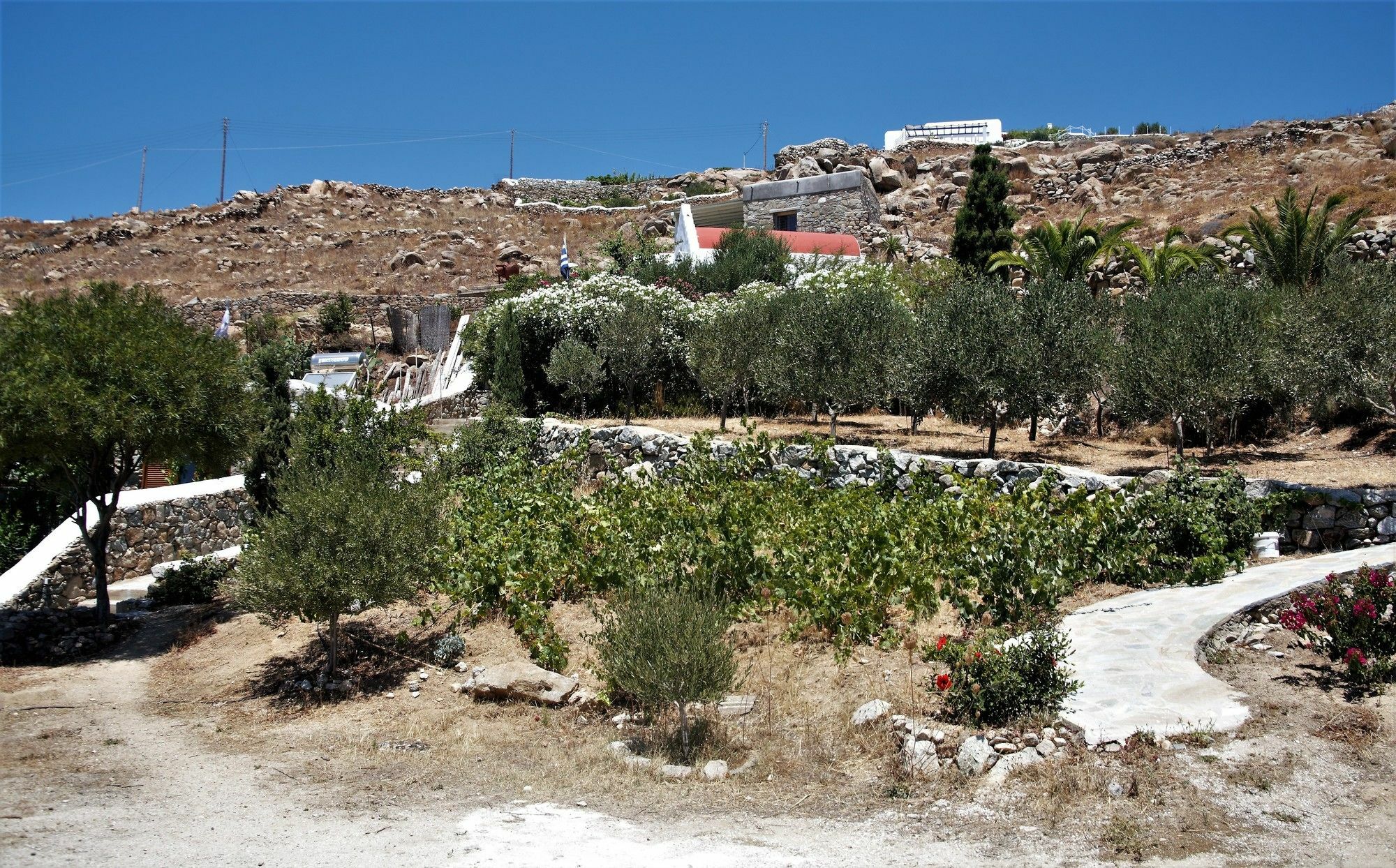 Mykonos Moussa Holiday home *