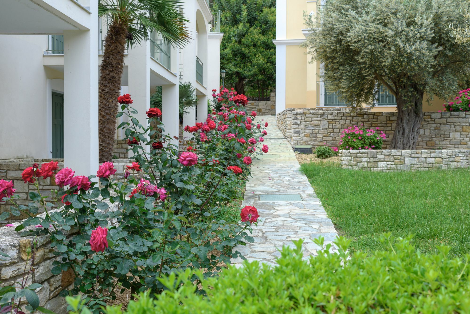 Kyveli 4*