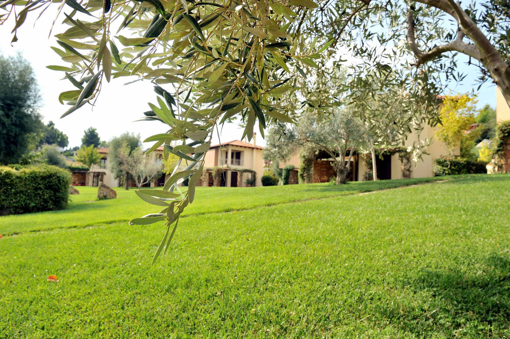 Polyastron Place Apartment Sani (Chalkidiki)