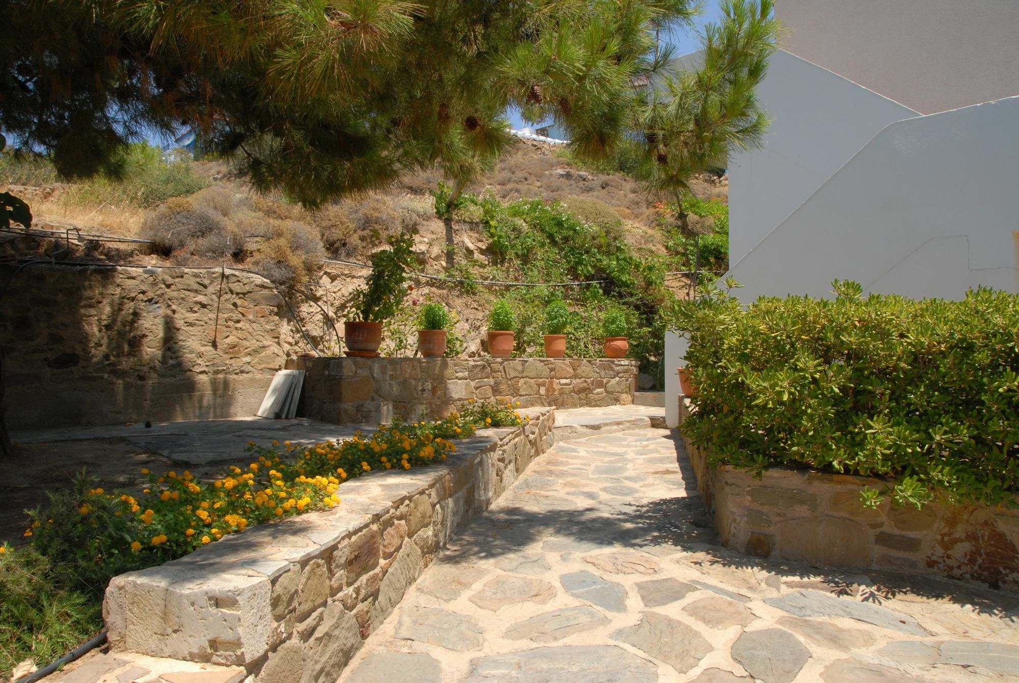 Apartment Zorbas *