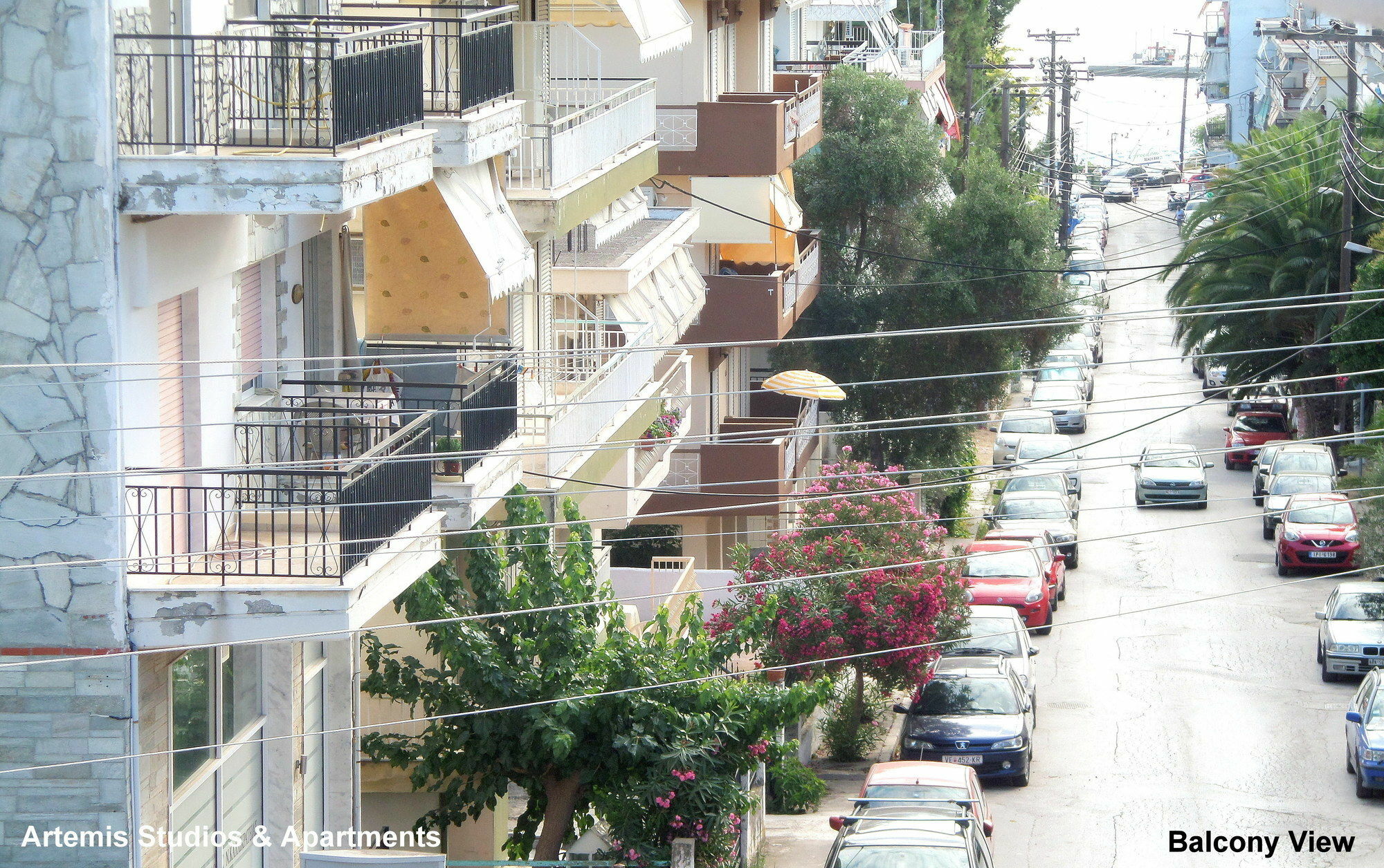 Artemis & Apartment *