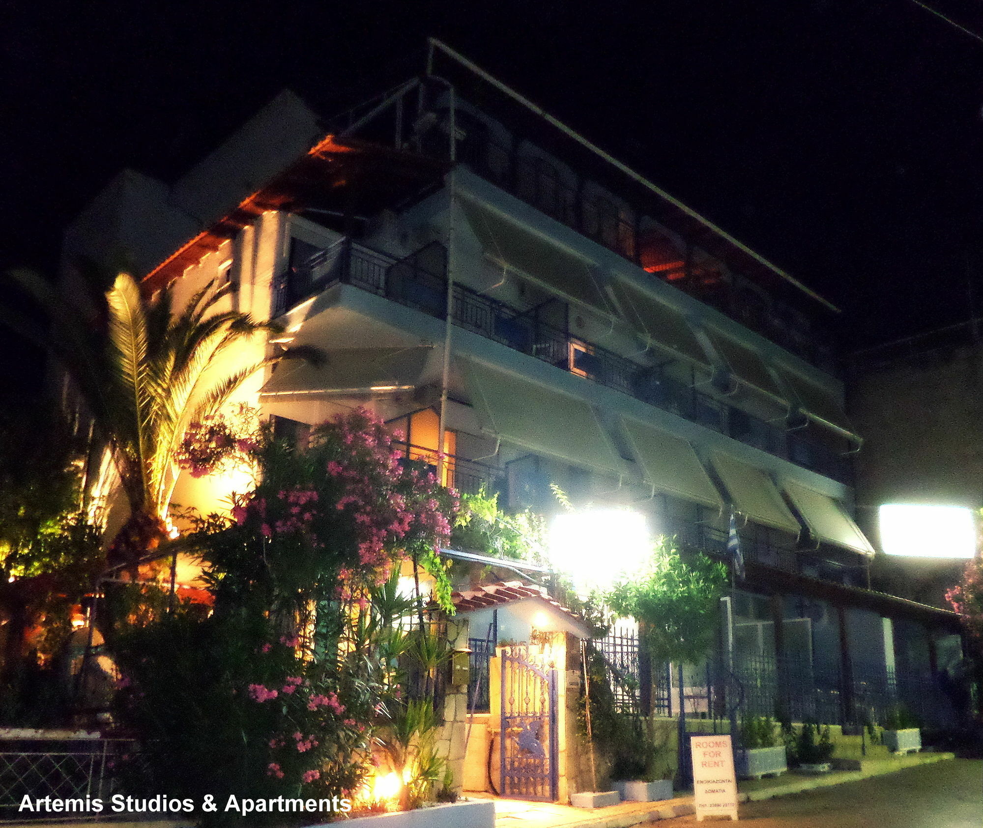 Artemis & Apartment *