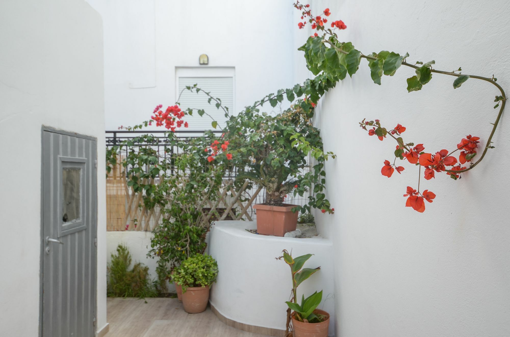 Apartment Depis & Naxos City