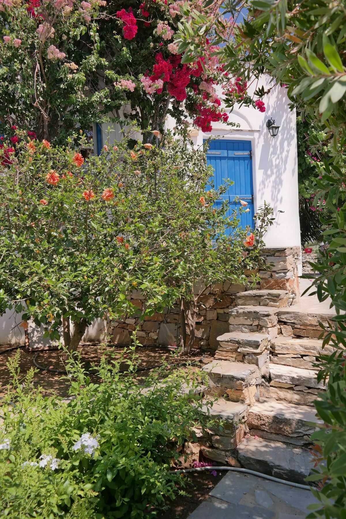 Sun Rock * Stelida (Naxos)
