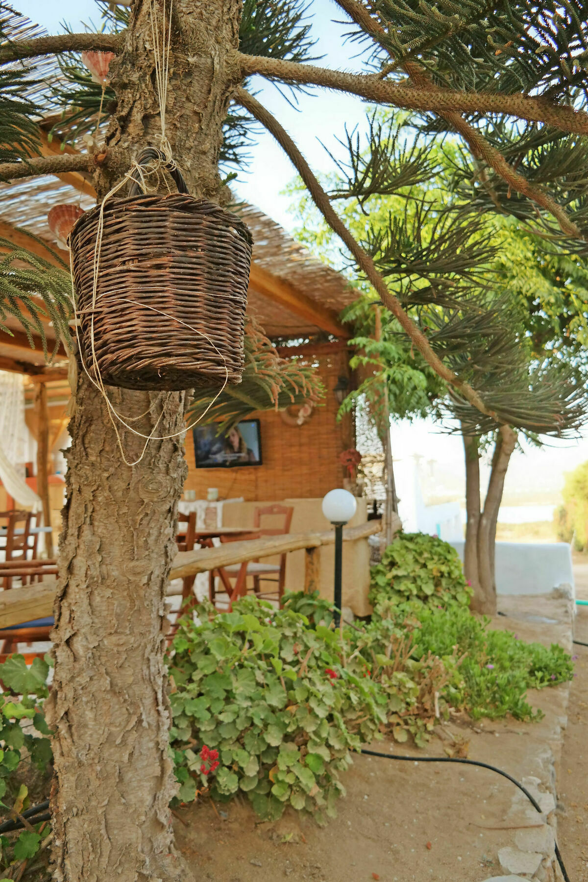 Sun Rock * Stelida (Naxos)