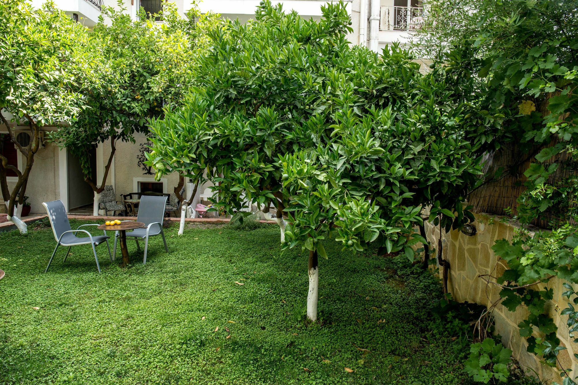 Oasis