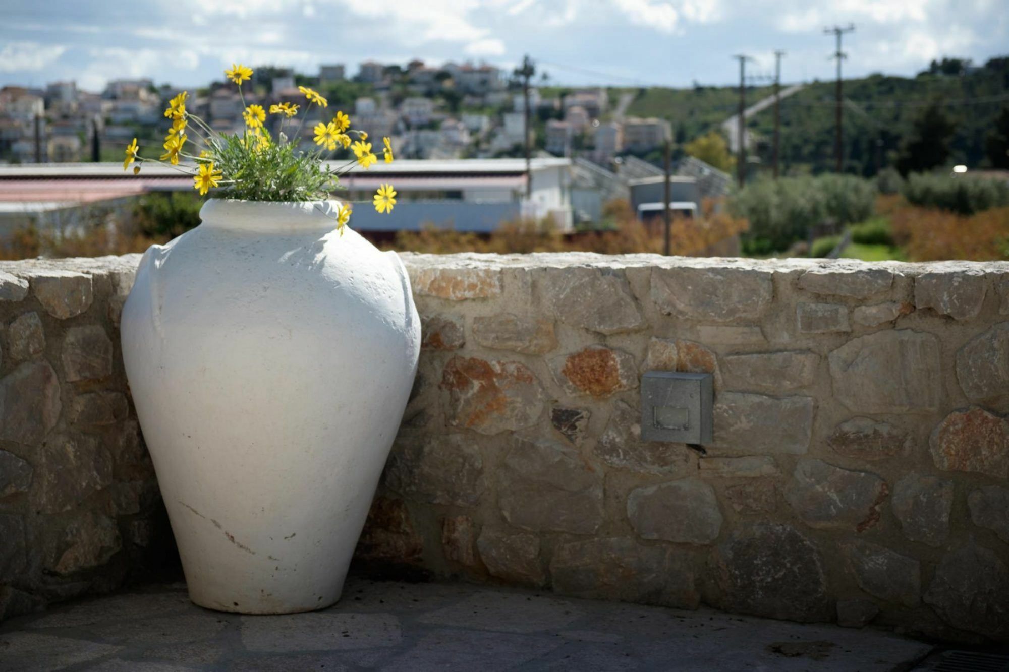 Traditional Grandma Vitsas Ermionida