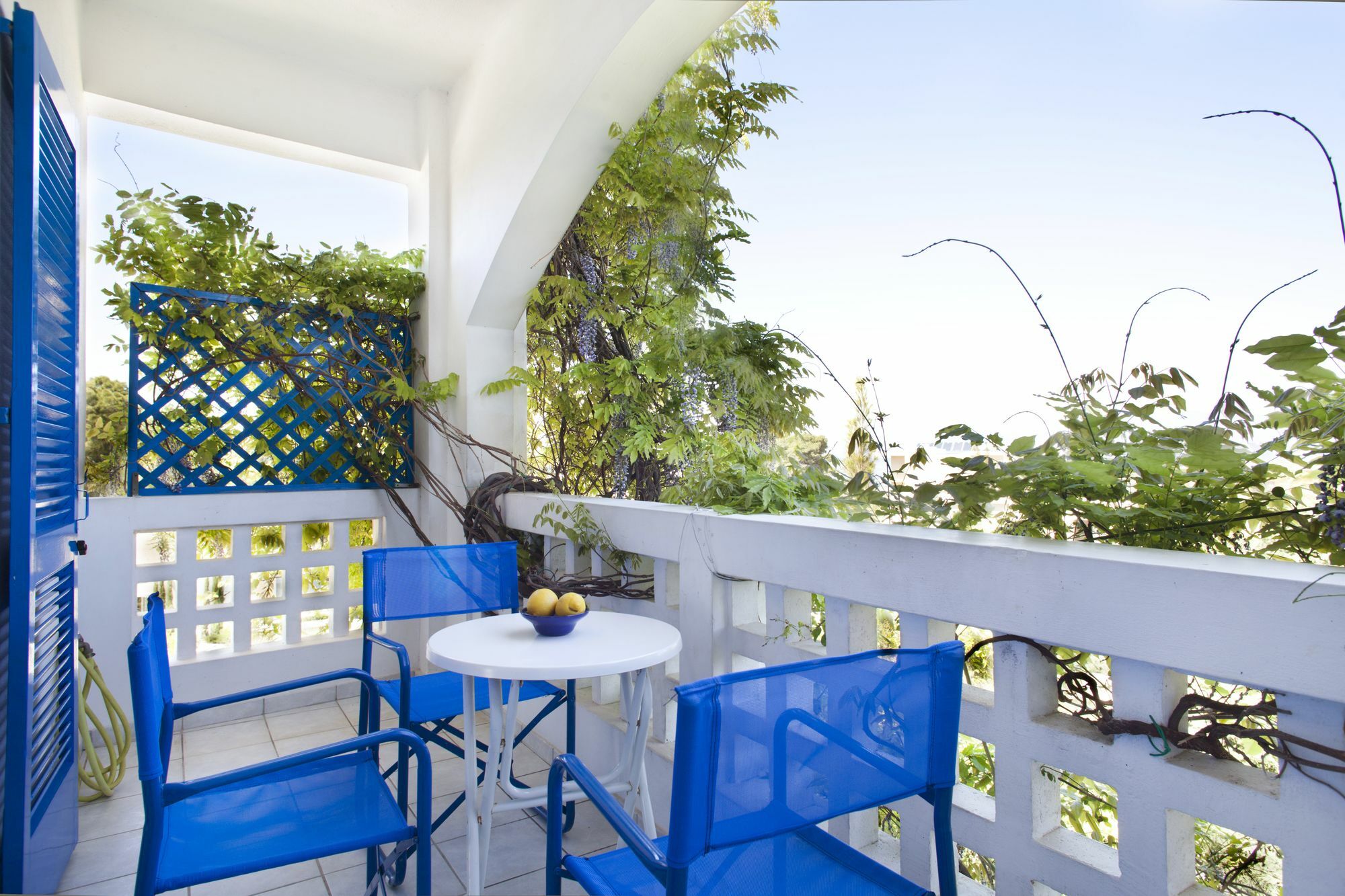 Daphne's Club Aparthotel 3*