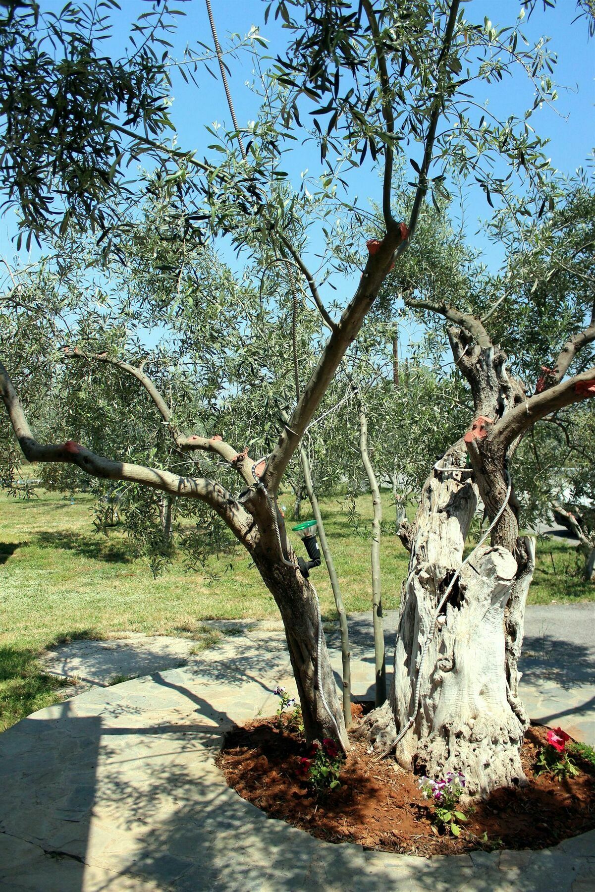 Ktima Anastasia Country house Nafplio