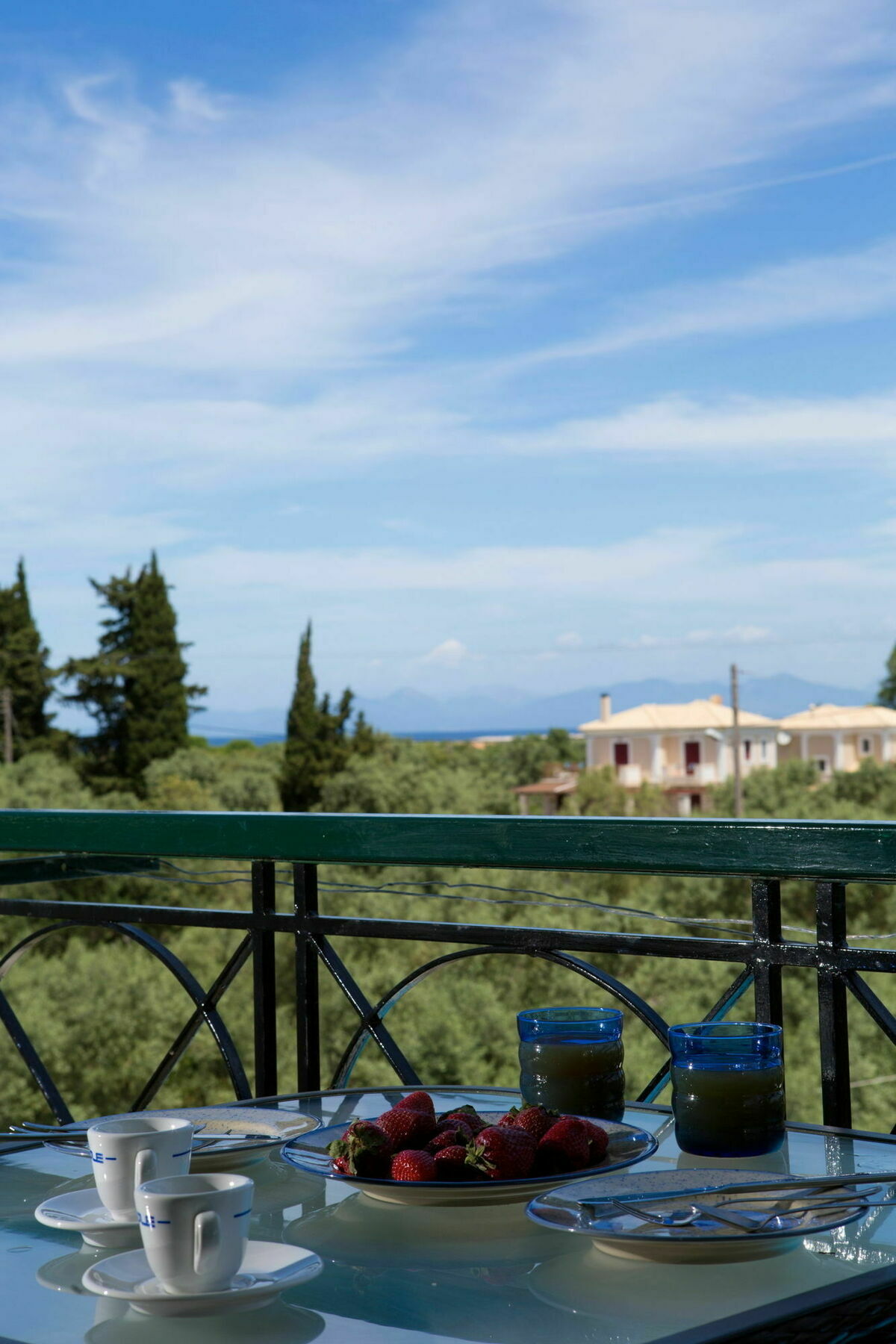 Marina Lefkada City