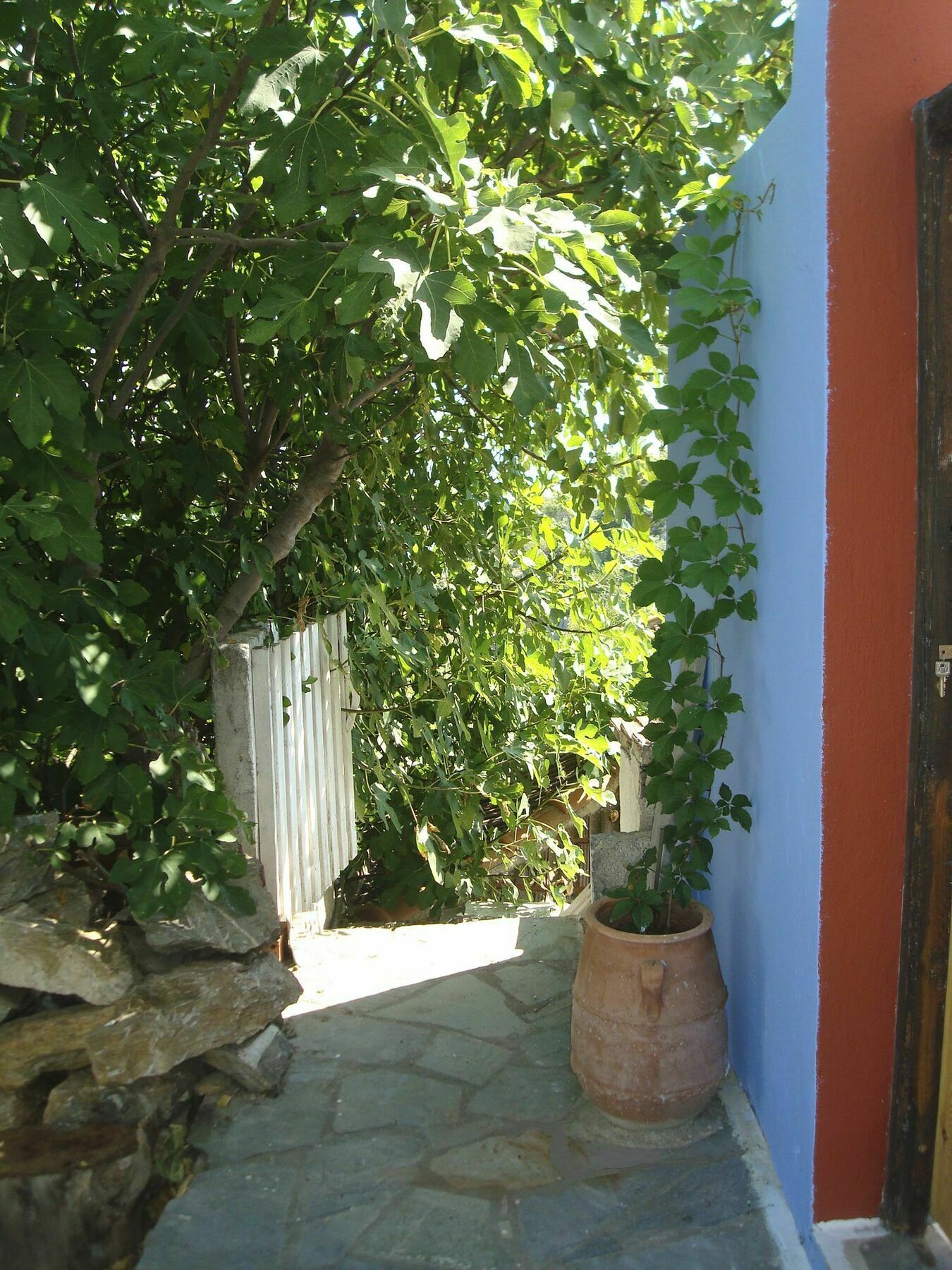Asteri Hotel