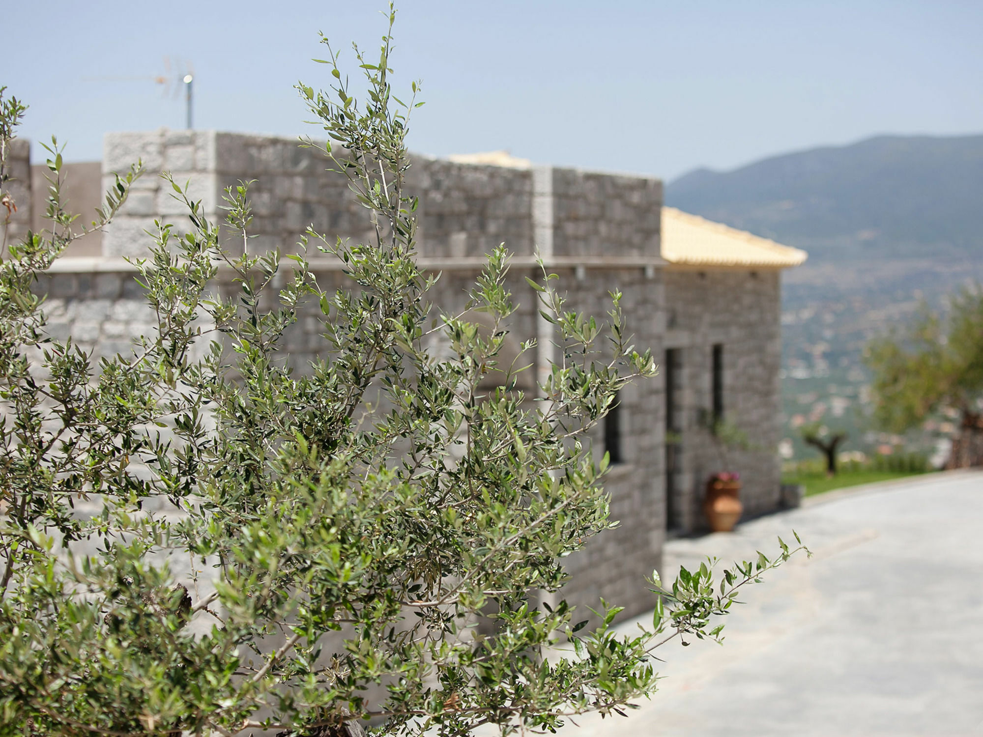 Apartment Petra Thea