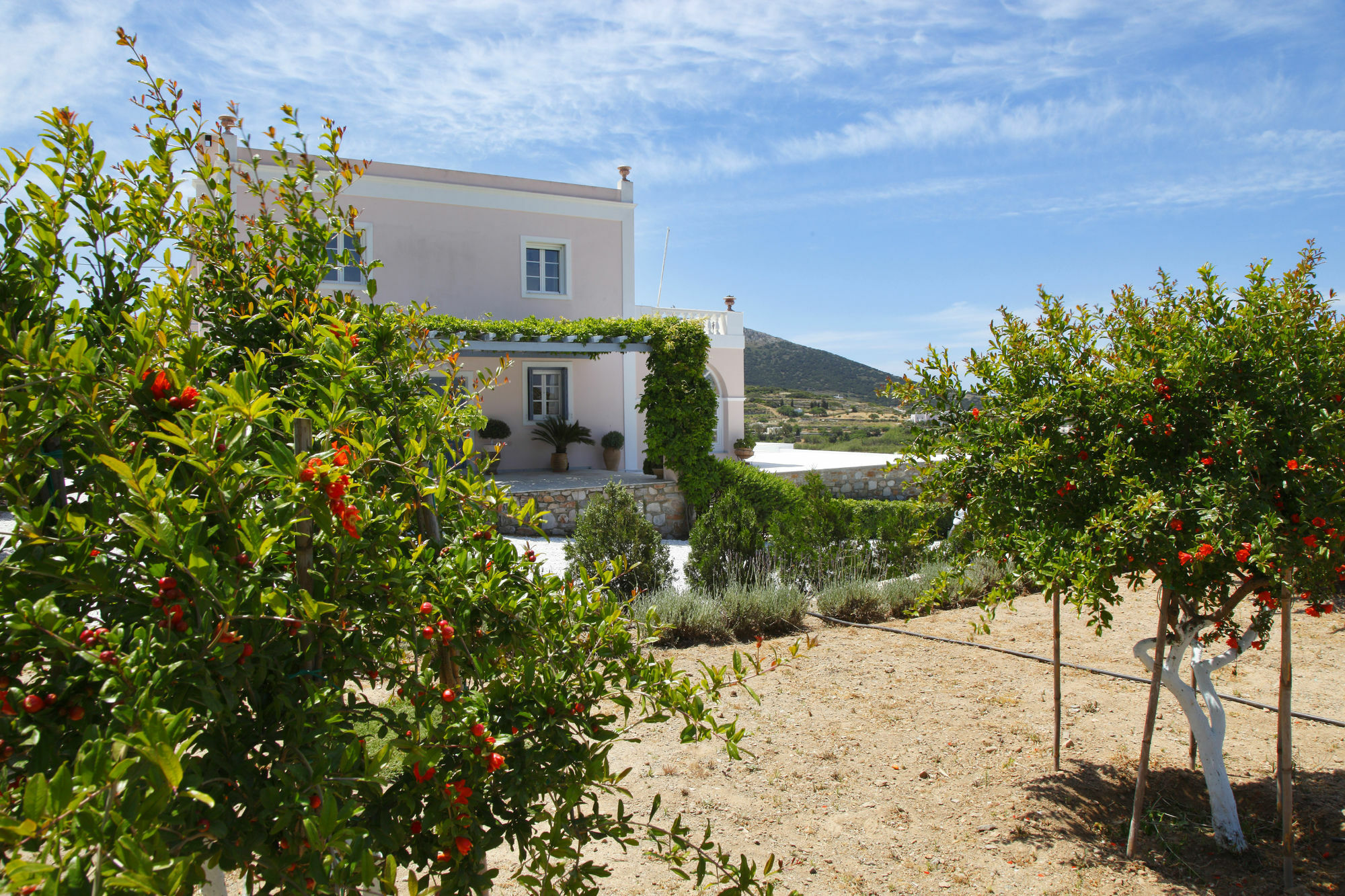 Apartment Casa Del Sol Syros