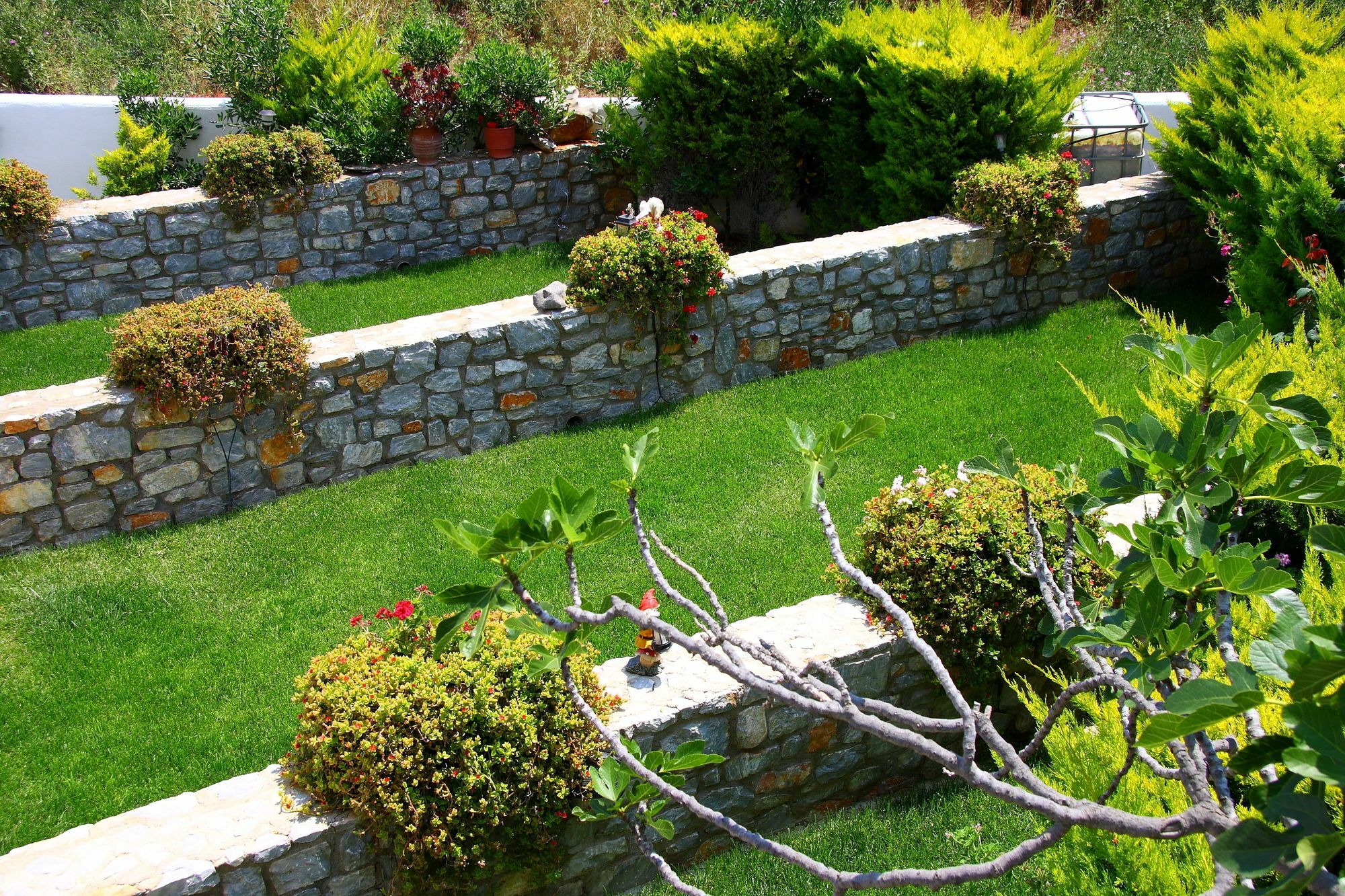 To Pithari Apartment Skyros