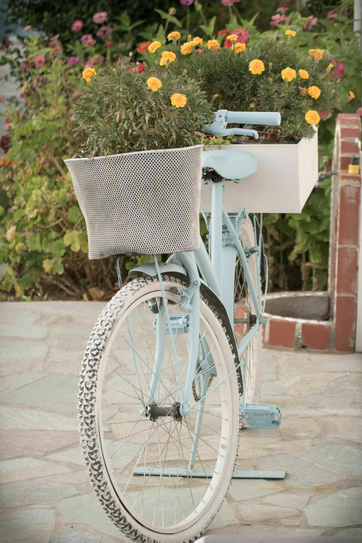 Kallisti & *