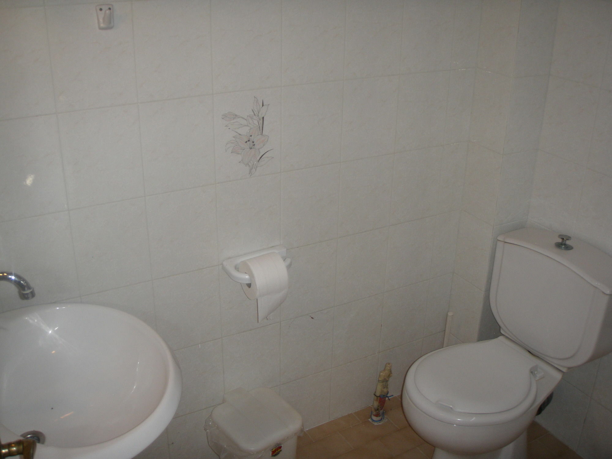 Apartment Manolia