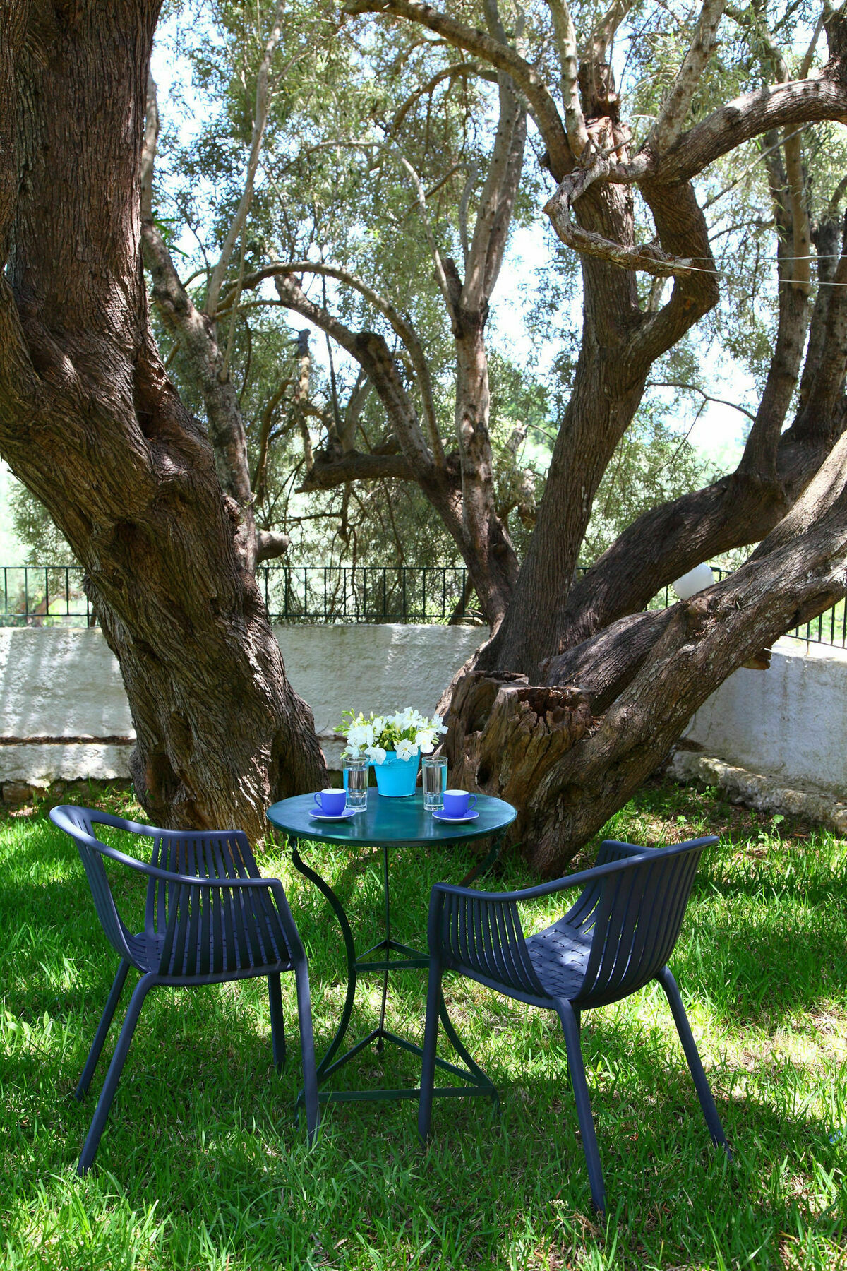 Summer House Louisa Apartment