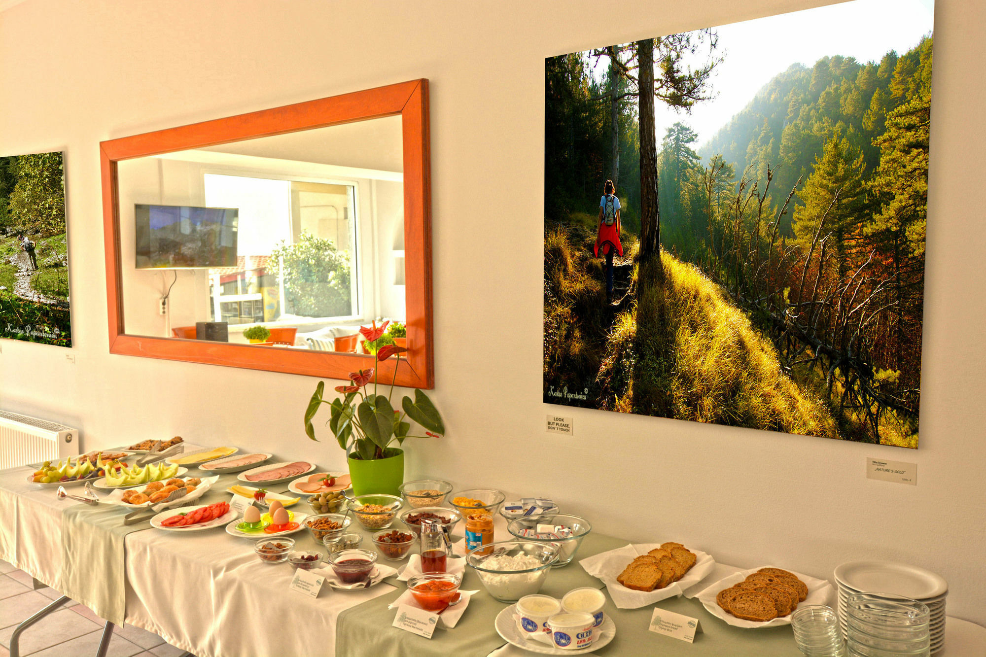 Drosos Hotel Litochoro