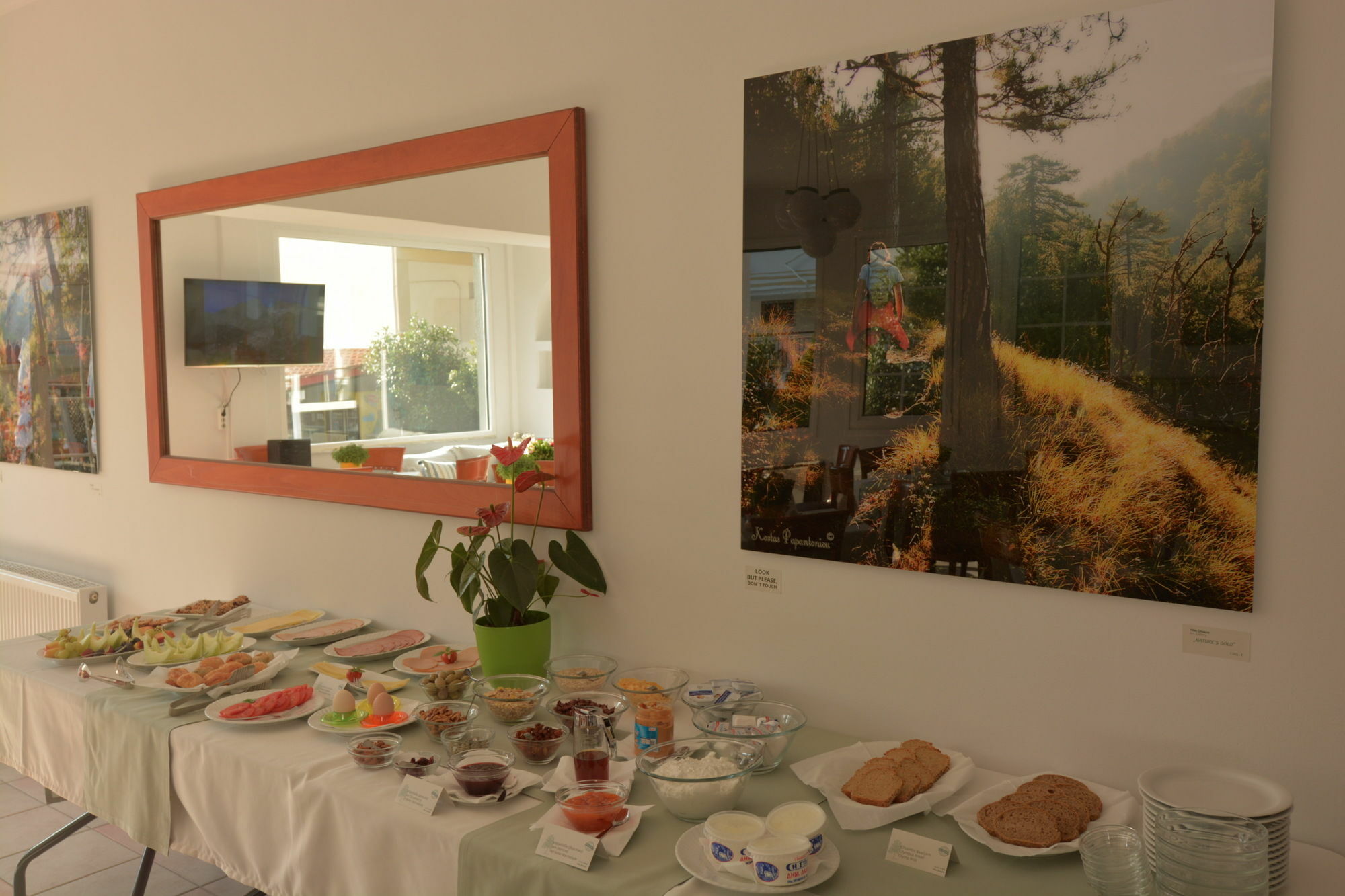 Drosos Hotel Litochoro