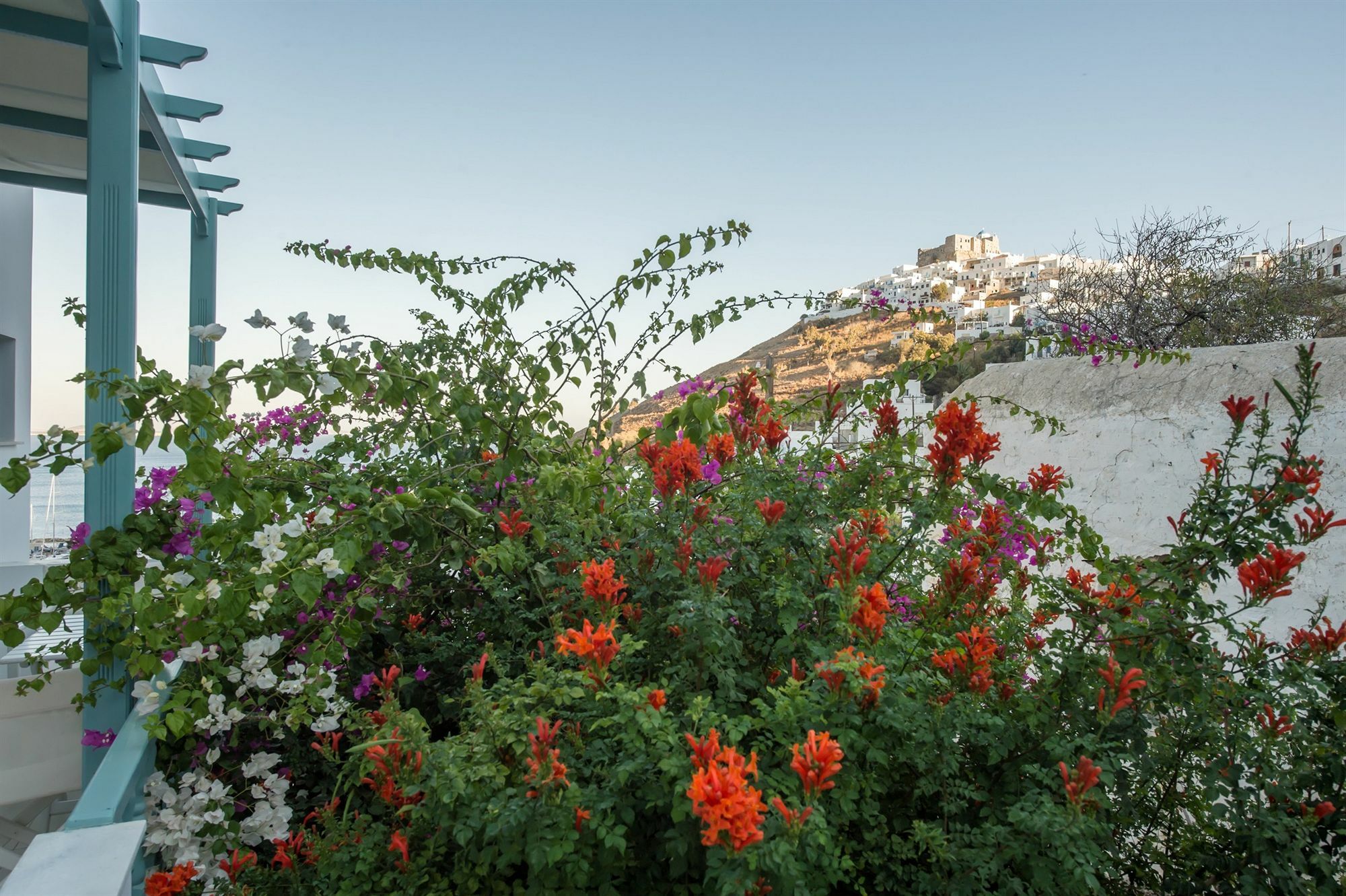 Aparthotel Aphrodite
