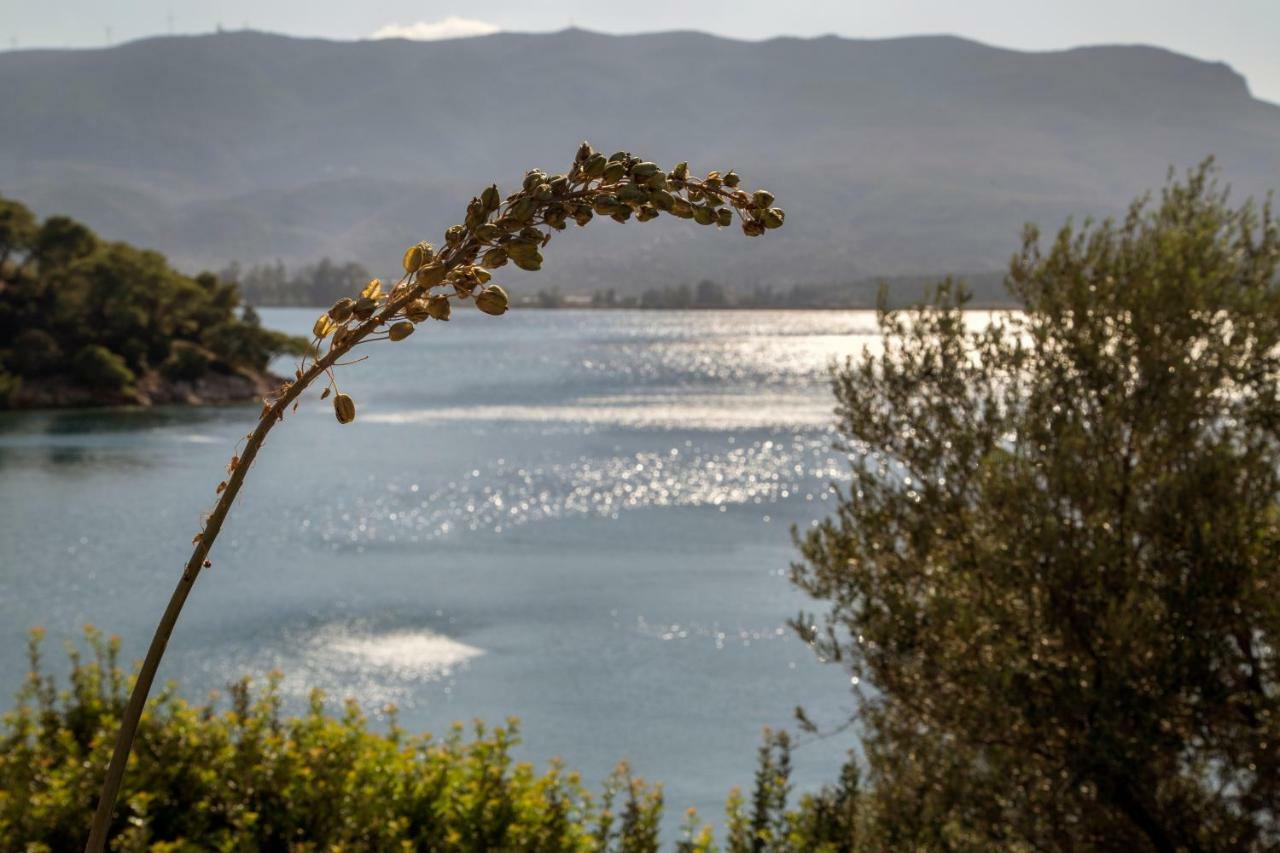 Kalavria Luxury - Magnificent Sea View Of Poros Poros Town