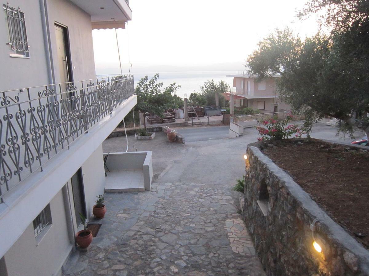 Blue Yard Apartment