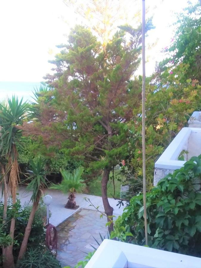 Hotel Palm Beach Sudkreta Ierapetra (Crete)