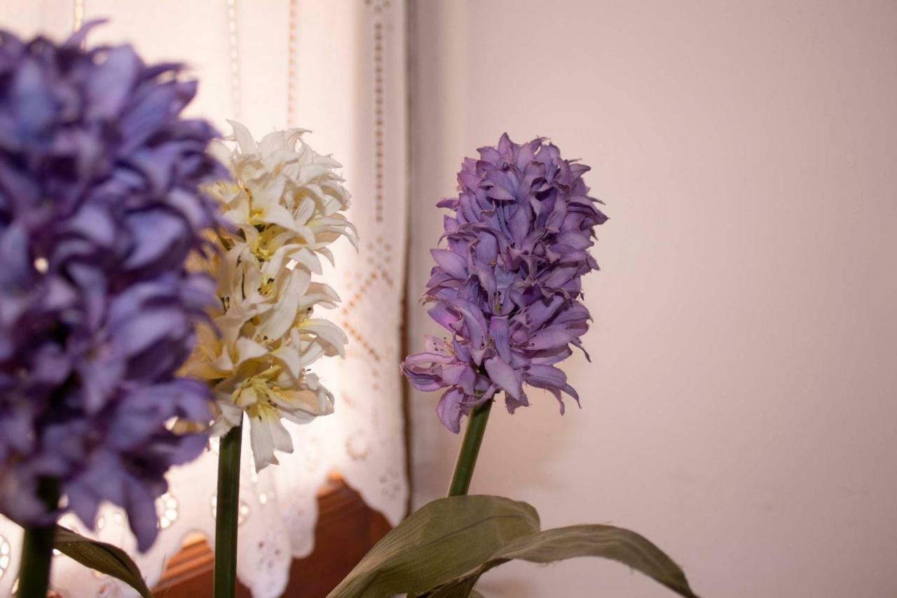 Aparthotel Iris Garden Retreat Corinth
