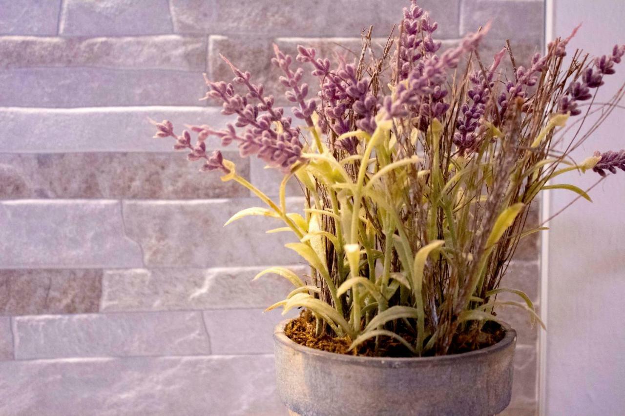 Iris Garden Retreat * Corinth