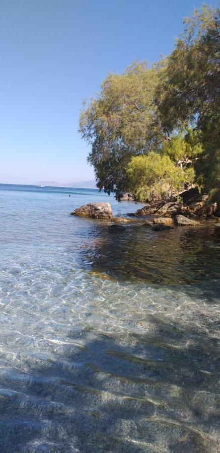 Mela * Panormos (Kalymnos)