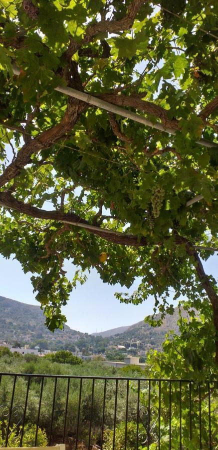 Mela Apartment Panormos (Kalymnos)