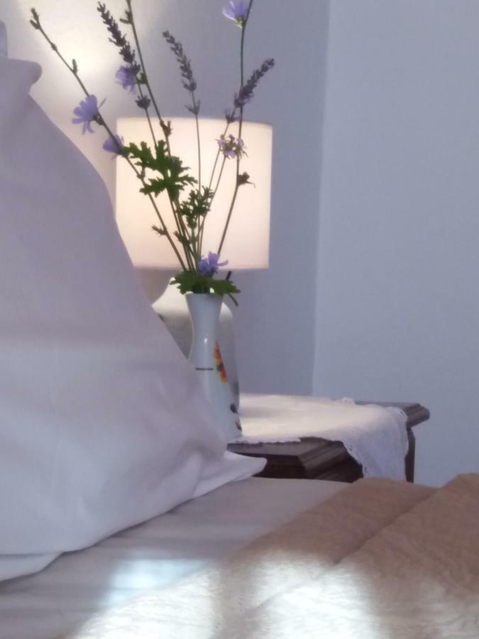 Apartment Niki