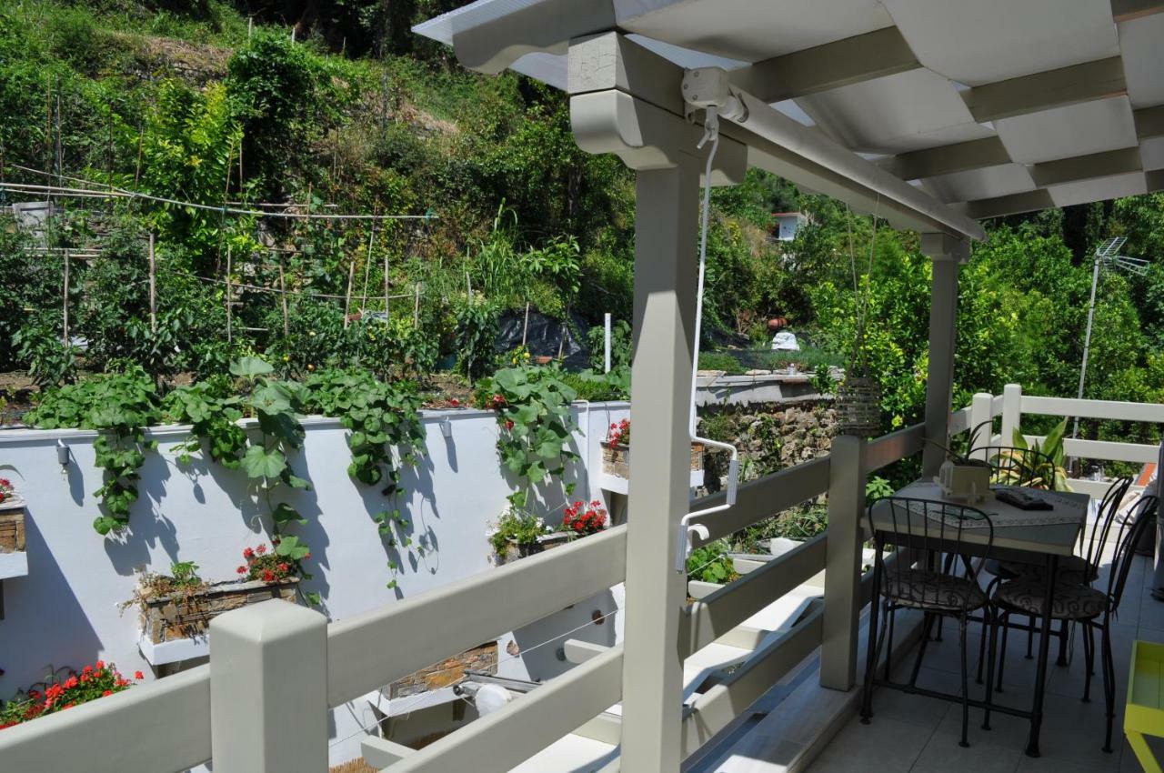 Apartment Studios Yalos Chorefton