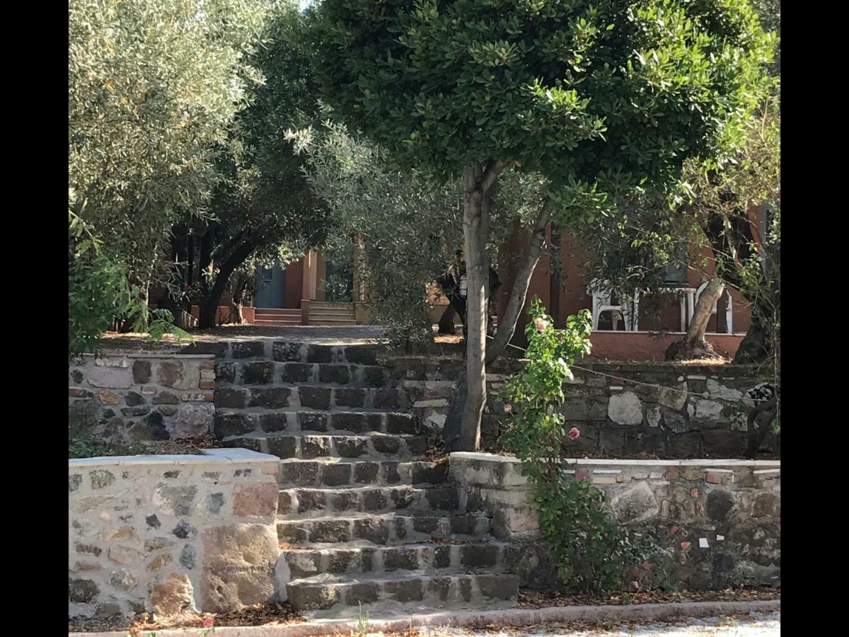 Pefka * Mytilene