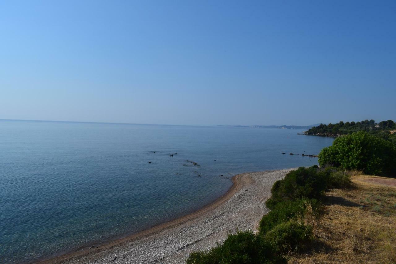 Alexandros Seaside Family & - Paradise, 7' From Petalidi