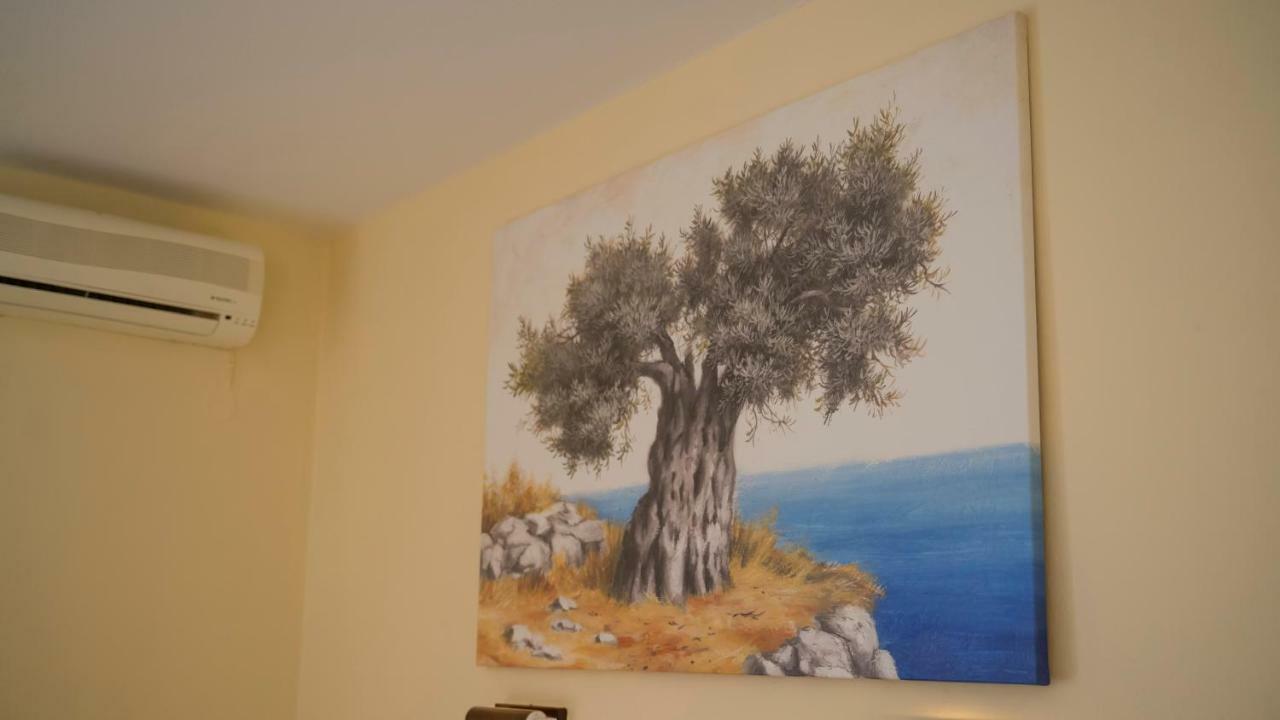 Aneton Chrysi Ammoudia