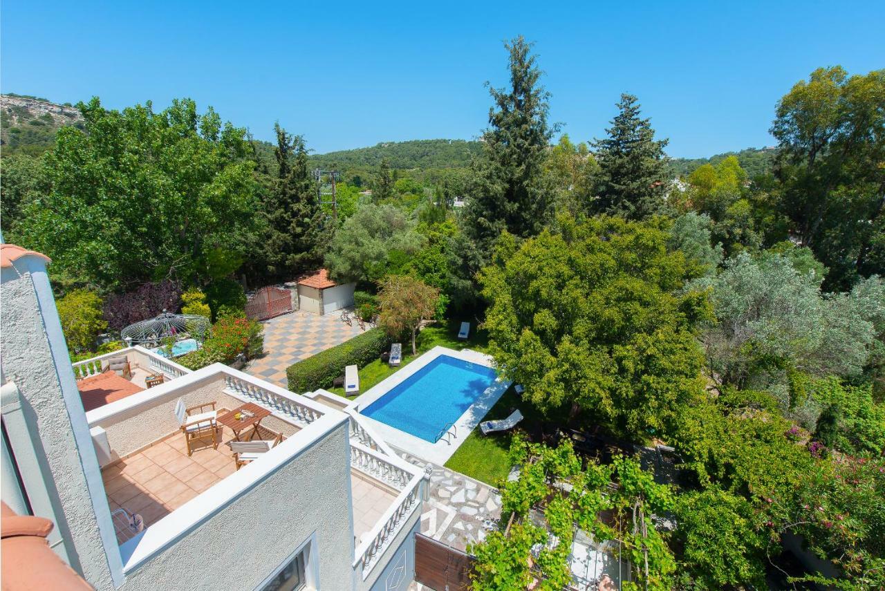 Small Paradise With Pool & Jacuzzi 