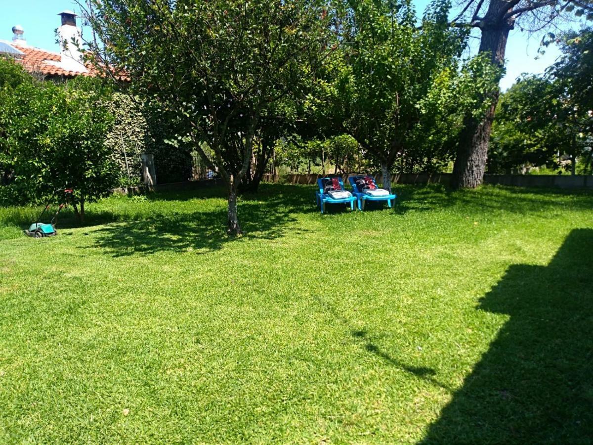 Garden Valentina Holiday home *