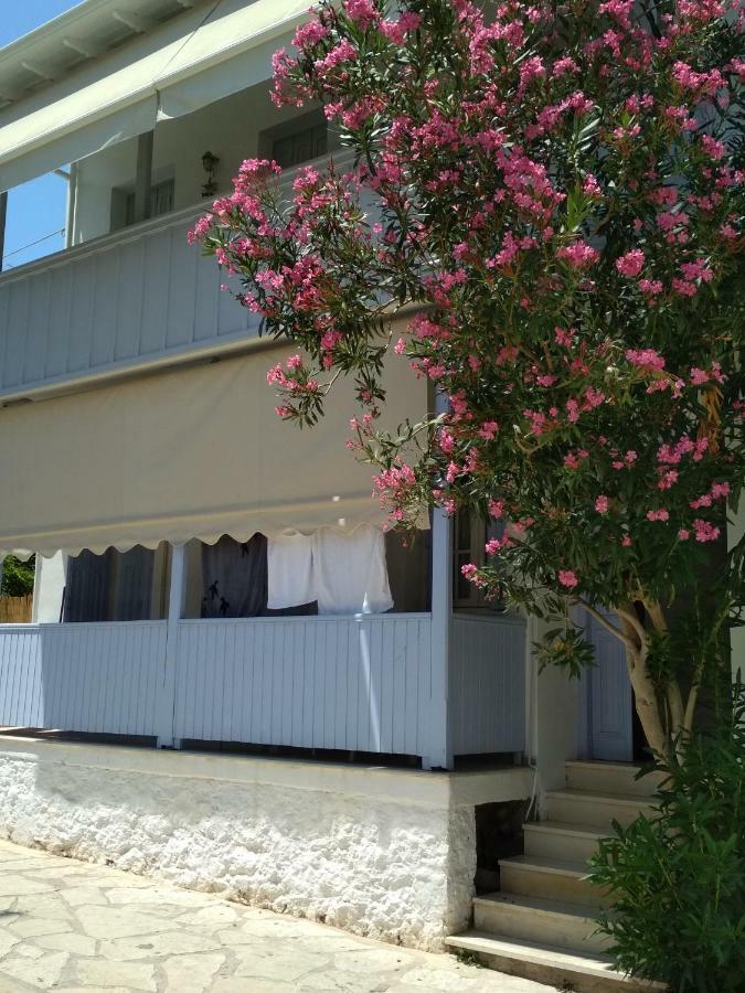 Konstantina Studios *