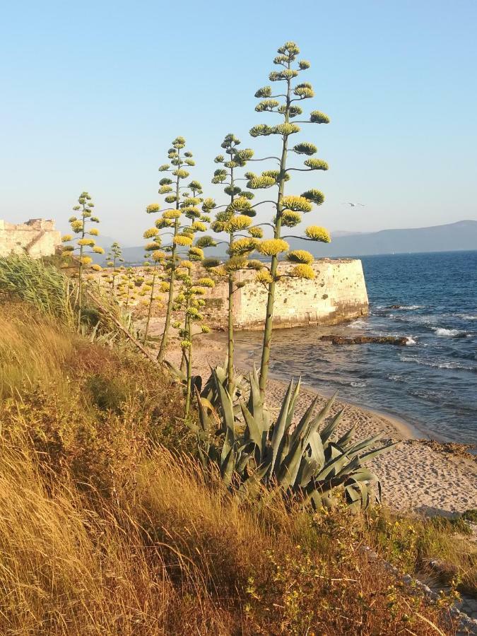Hotel Iliana