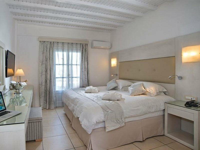 Hotel Dionysos Luxury Mykonos 4*