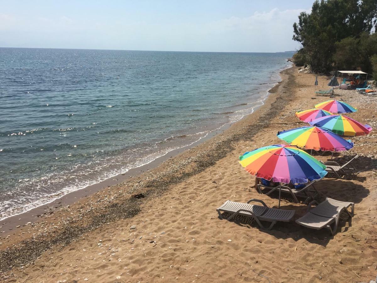 Logga Hotel 2* Messini